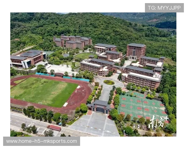 篮球在中国小学体育教学差异化改革中的实施路径，国内外小学篮球研究现状