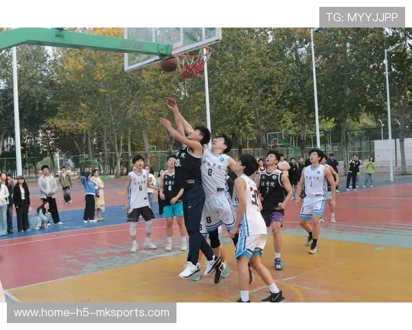 篮球少年以汗水浇灌未来之路，篮球少年cctv